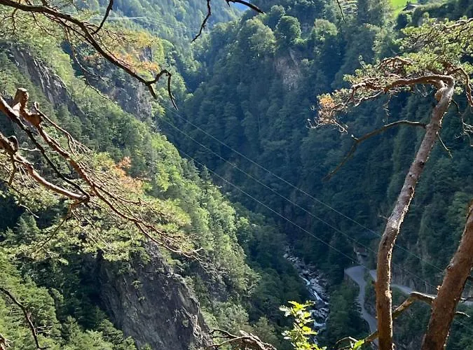Amazing Appartment In The Middle Of The Nature